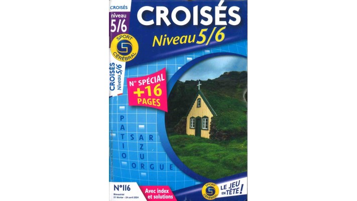 MOTS CROISÉS NIVEAU 5 ET 6 (to be translated)